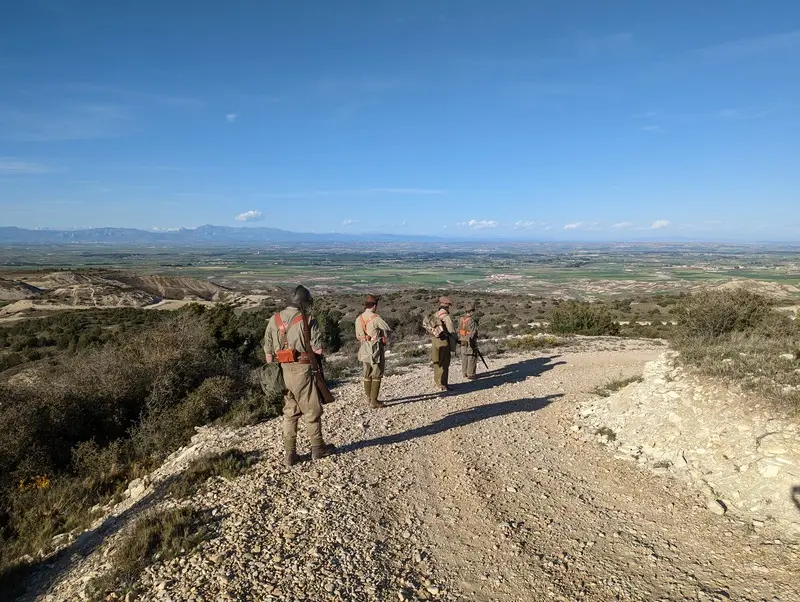 exploracion-posiciones-lineas-frente